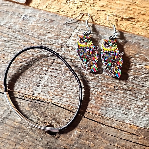 Multicolor Resin Owl Earrings with Black Elastic Bracelet - Picture 2 of 2